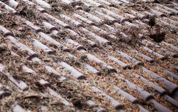 Bexleyheath roof cleaning companies